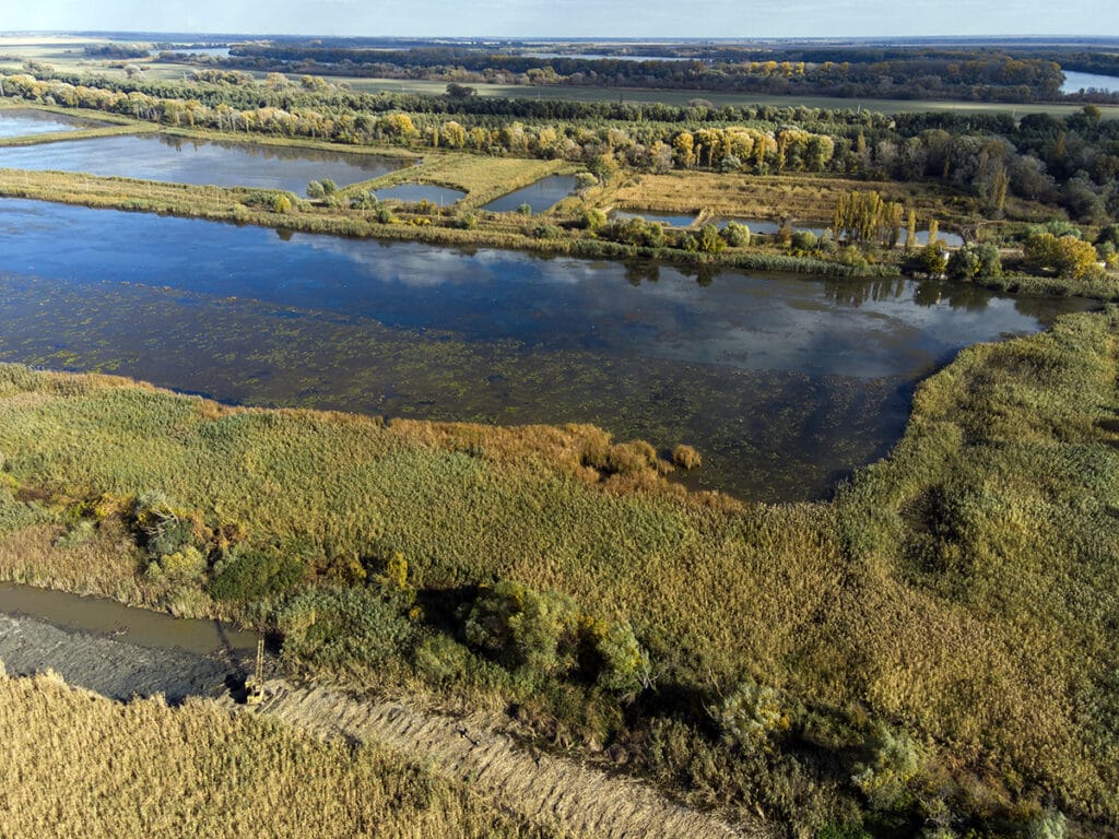 One of the main natural features of the Safiany community is the Danube floodplains, part of the Danube Biosphere Reserve. The floodplains occupy vast areas in the west of the community and are unique wetland ecosystems that are important for maintaining biodiversity in the region. These natural areas serve as a wintering ground for rare bird species, including pink pelicans, and are also home to numerous species of fish and aquatic animals. The Danube floodplains are of great ecological importance, as they act as natural filters for water and are important in the processes of preserving water resources. Rare species of flora and fauna which are listed in the Red Book of Ukraine are found here.