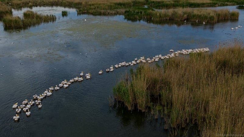 Lake Kuhurlui