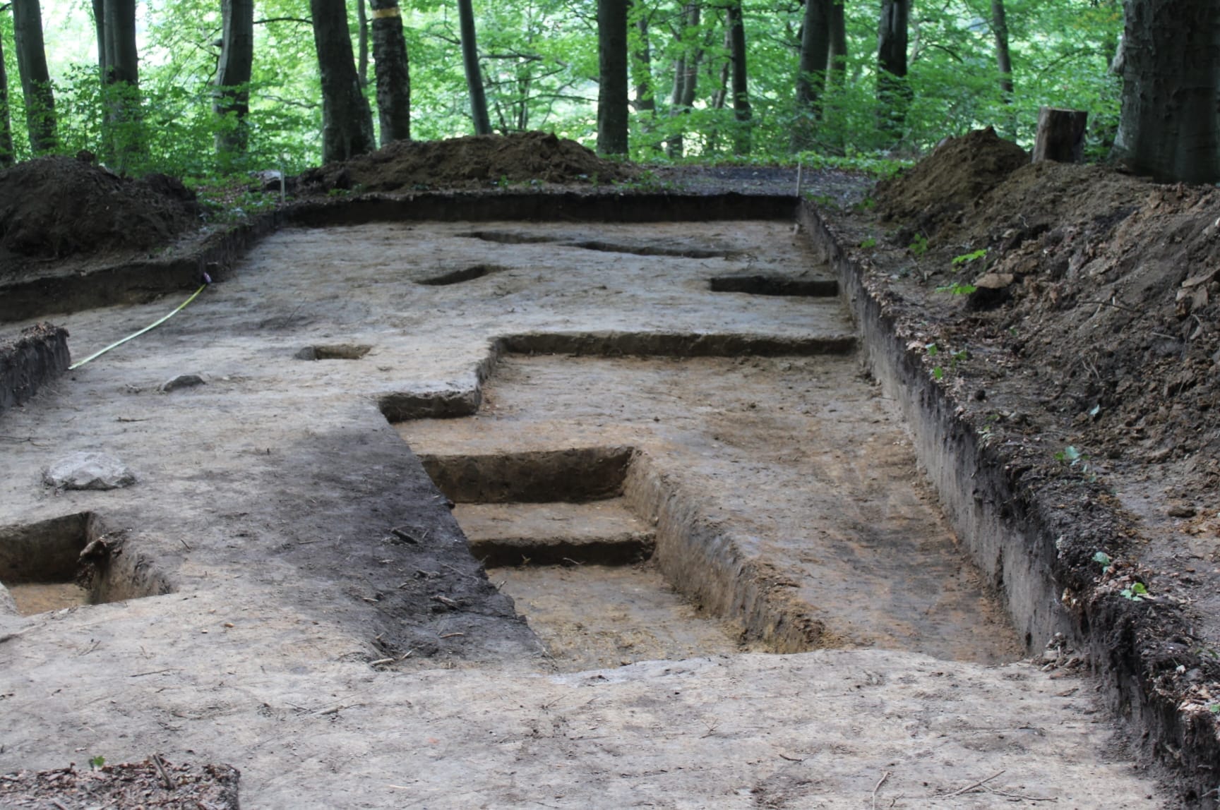 The huge ancient Rus hillfort of Stilske (19th-20th centuries, 250 ha), one of Europe’s largest / Oleksandra Dzyndra