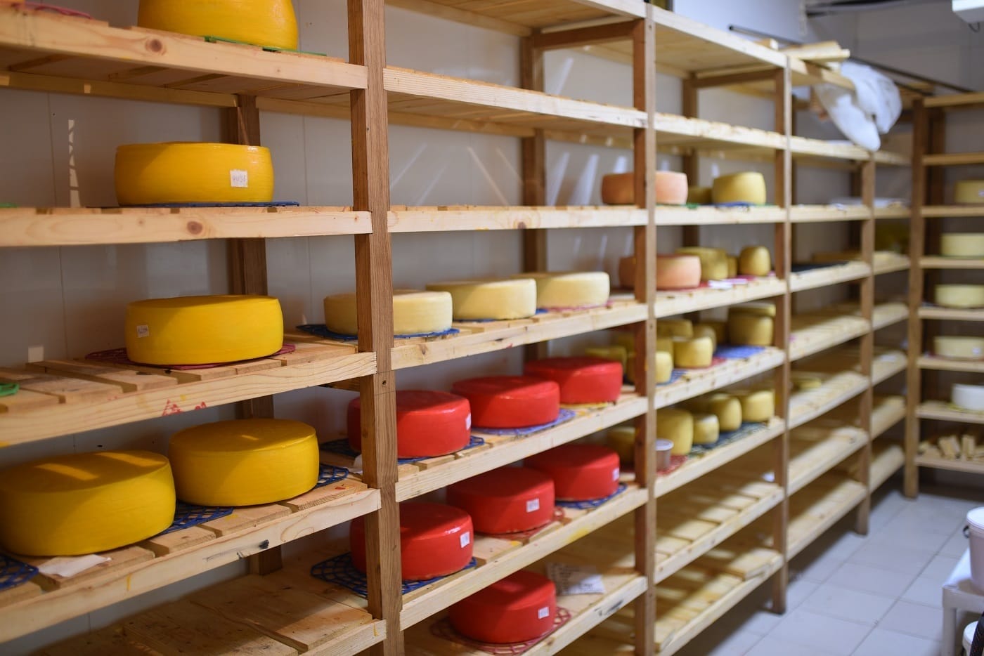 “Dobri Gazdy” Enterprise has been processing milk and manufacturing dairy products for 7 years, which ensures food security and creates jobs in the community