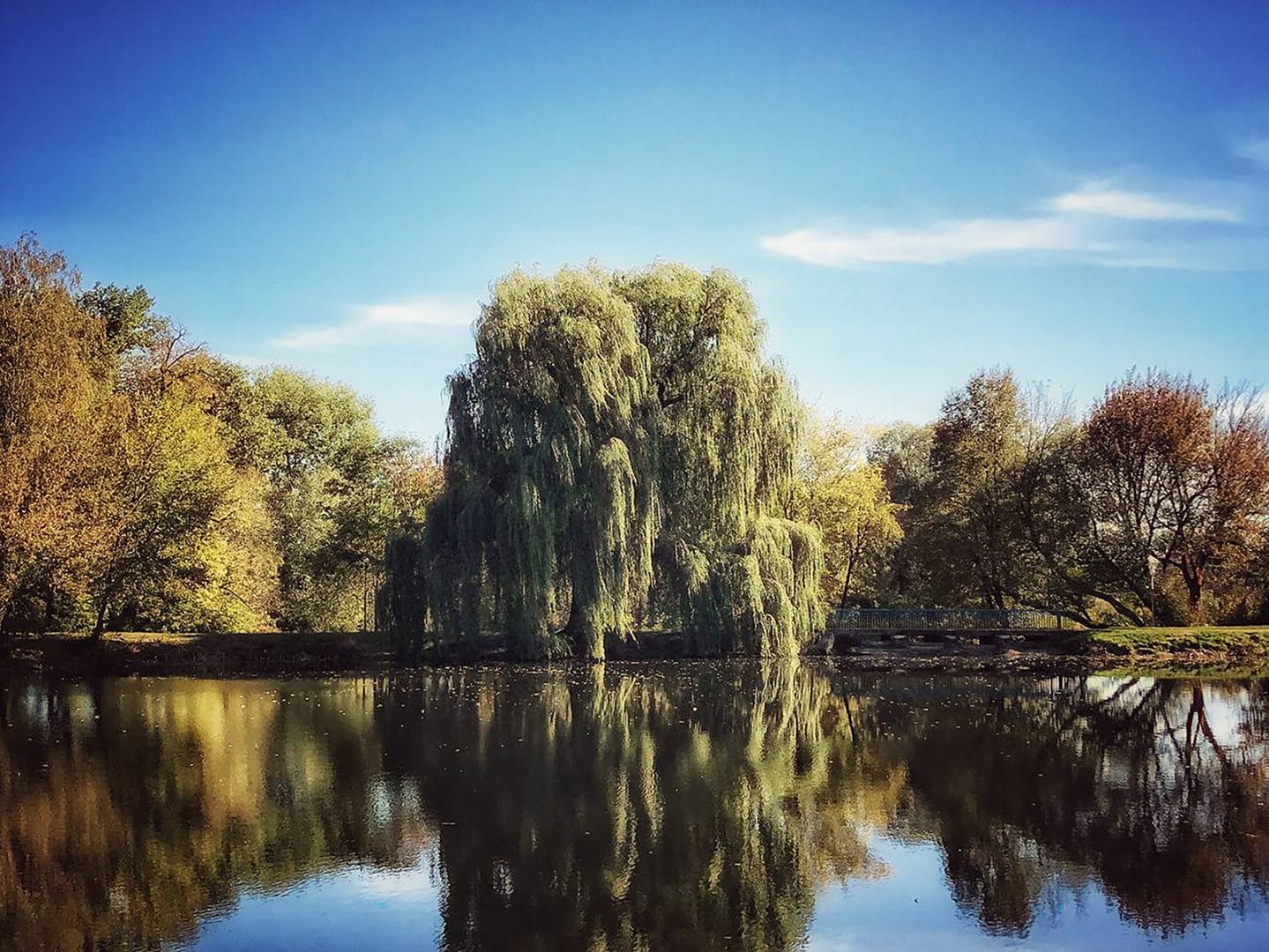 Tereshchenko Park / source: Natalia Dehurko