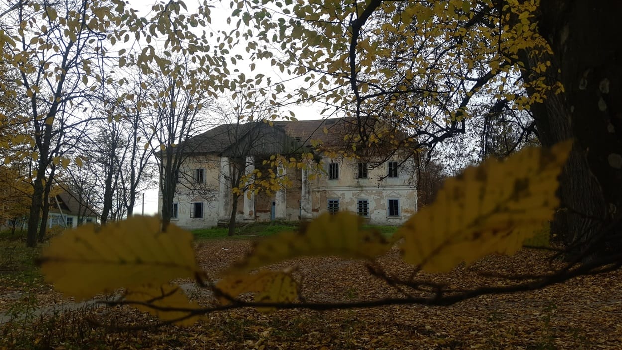 Krasicky Palace in the settlement of Volodymyrets