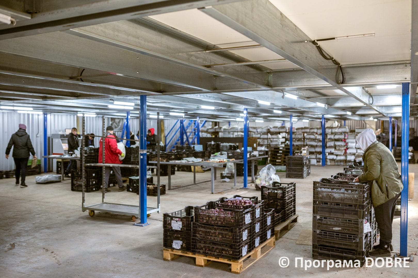Enterprise for germination and sale of plants of the Florium Company