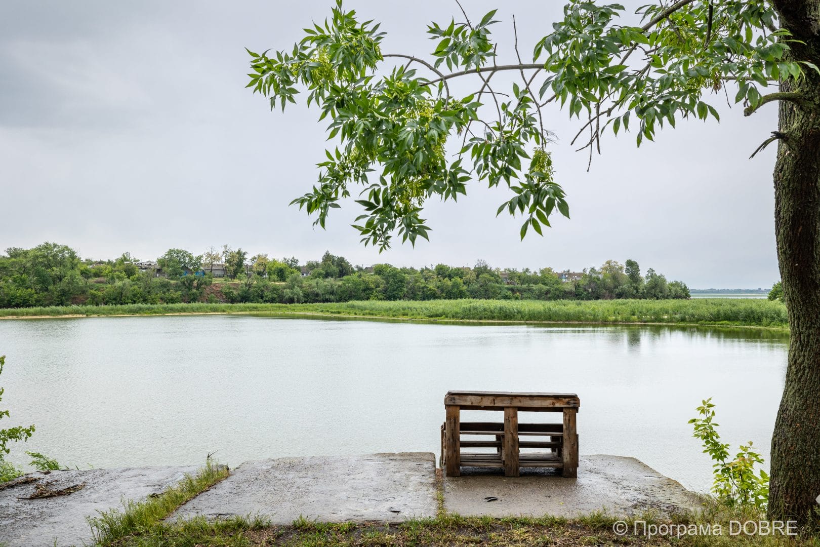 The lake in Novovorontsovka park, which was formed after the occupiers blew up the Kakhovka hydroelectric plant and drained the Kakhovka reservoir