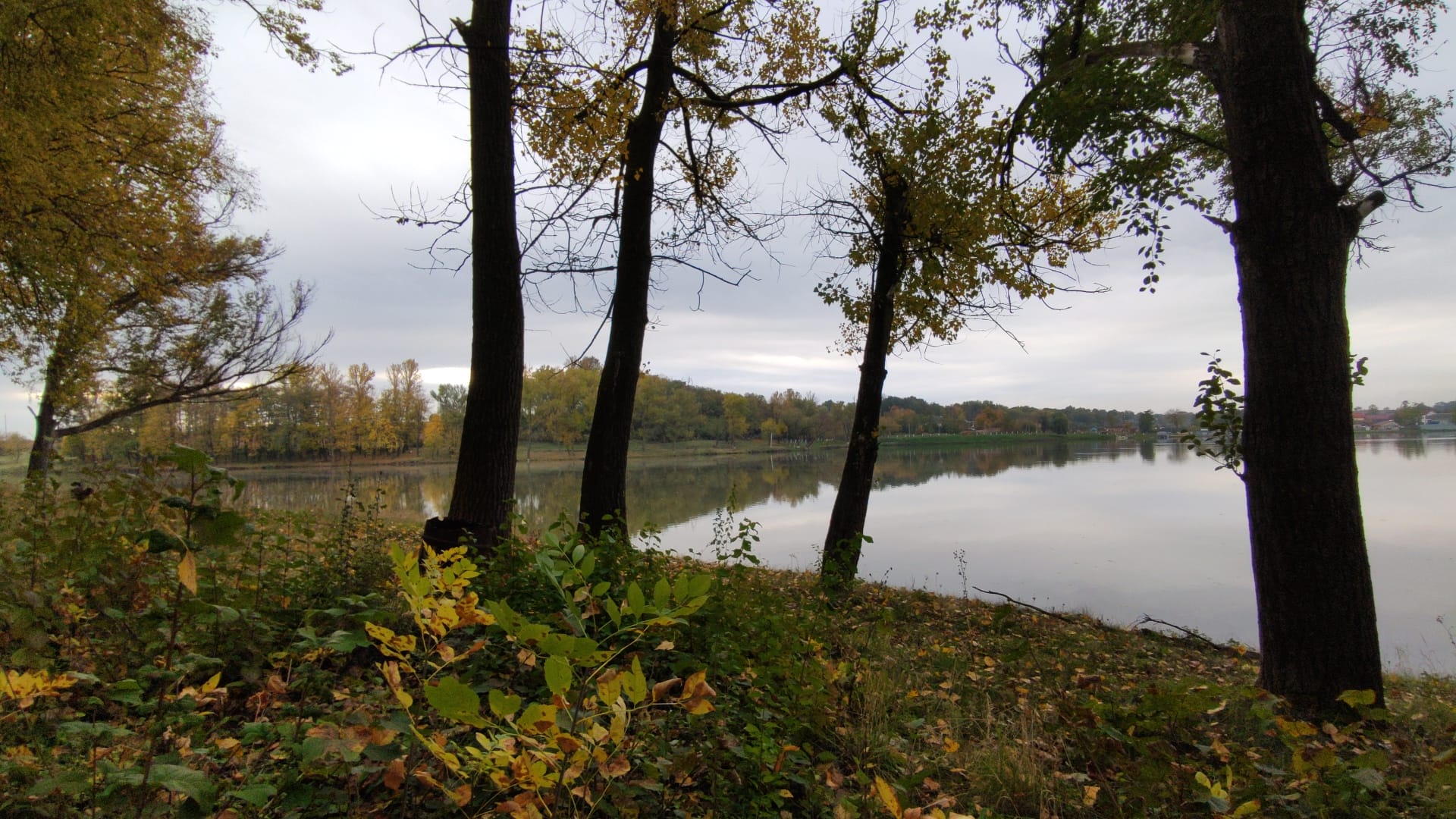 Panskyi pond in Zastavna