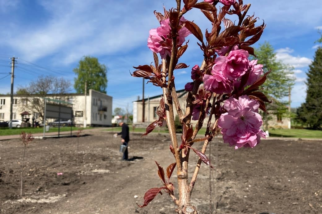 The first trees in the future Memorial Park were planted by relatives of the victims
