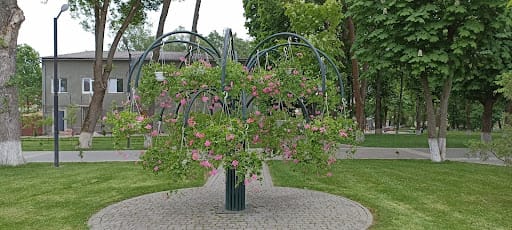 City Park