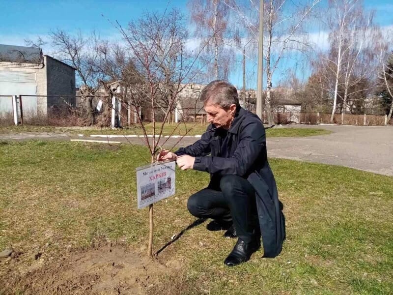 “The three new trees instead of one cut down” initiative