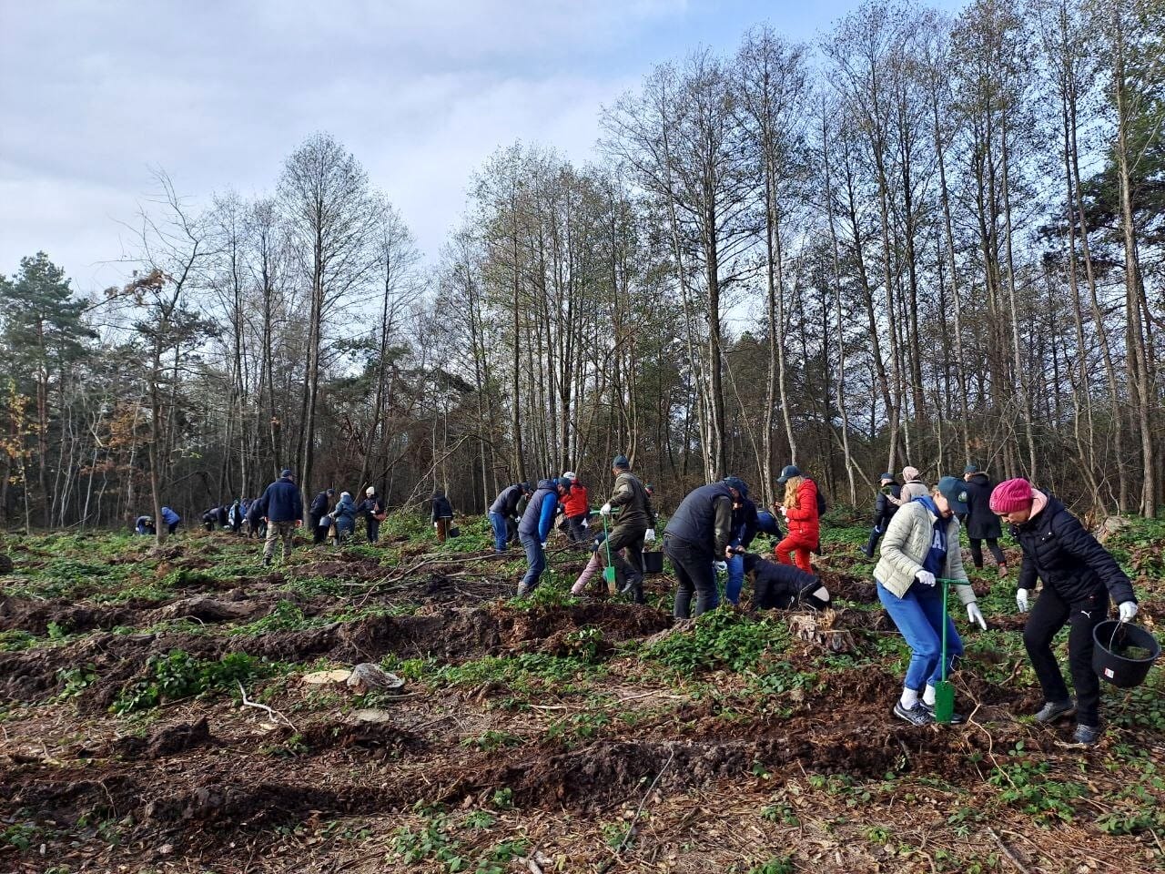 Almost 7,000 trees were planted by the employees of the City Council and local enterprises