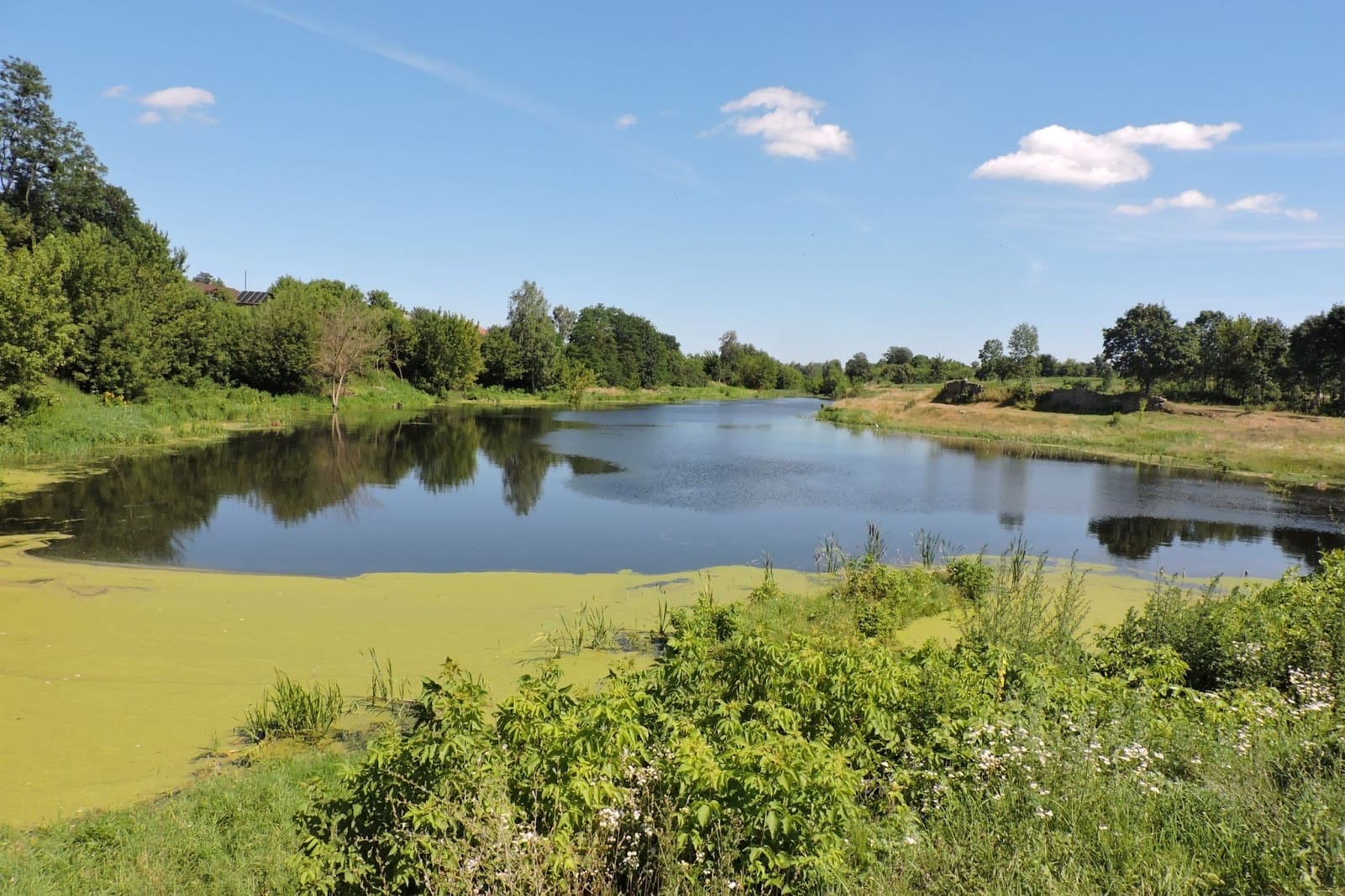 The Chobotivka River, a tributary of the Sluch