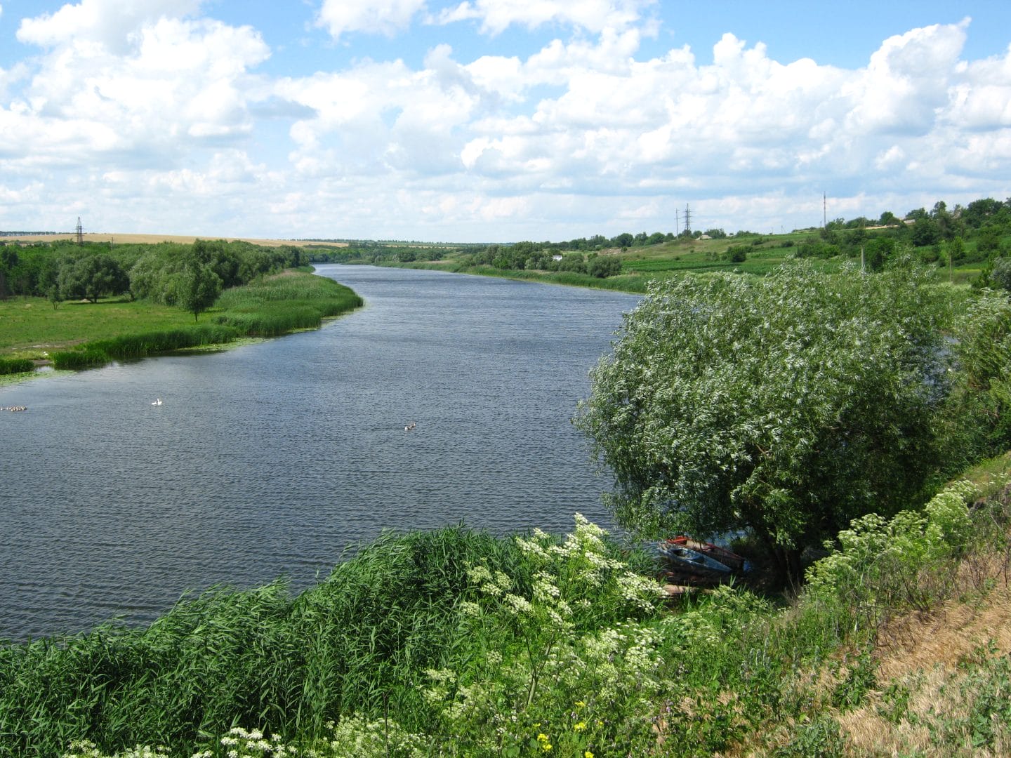 Coast of the community
