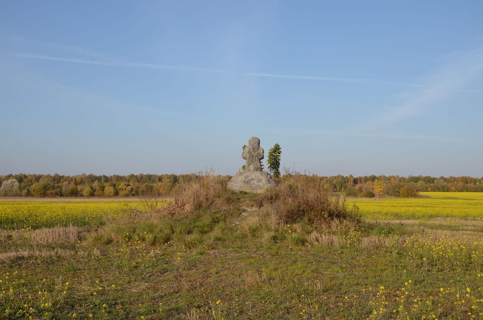 Cossack grave between Myropil and Polonne