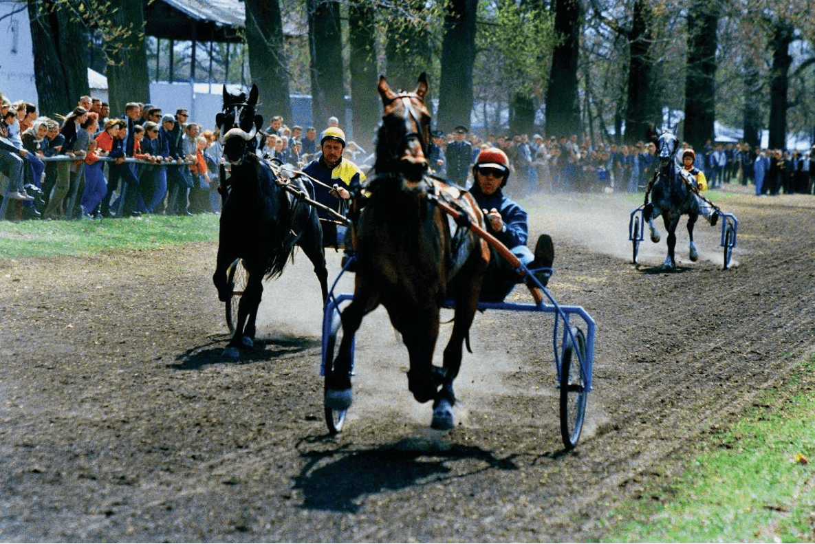 Horse racing in the village of Dibrivka