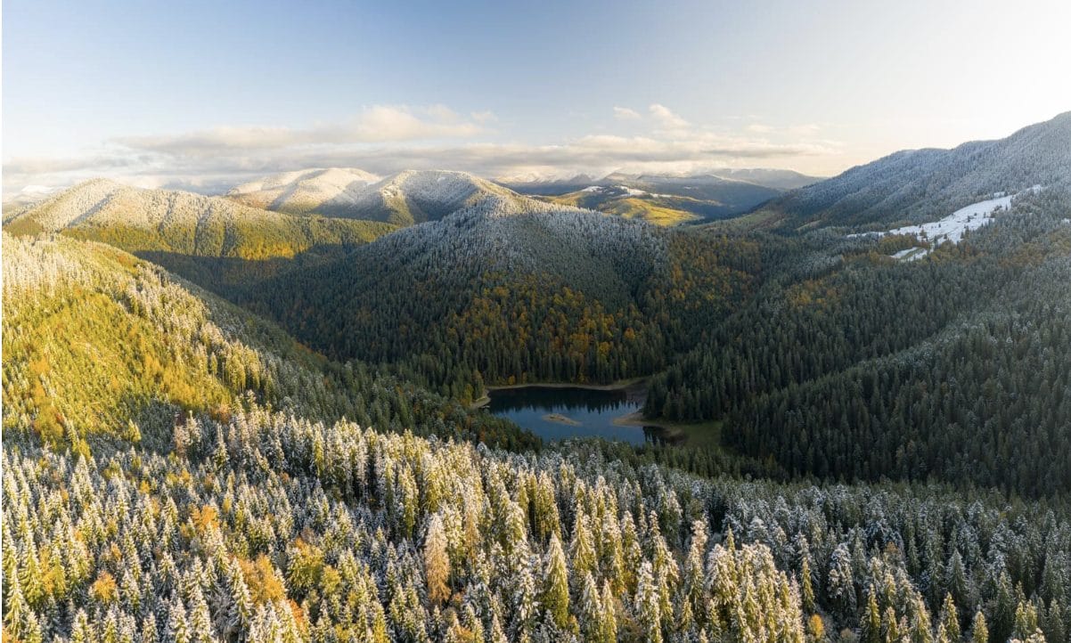 Synevyr National Nature Park