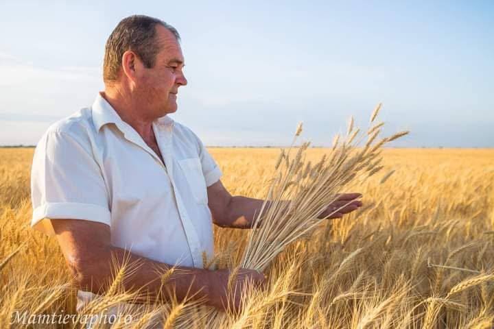Fertile Lands of the Community