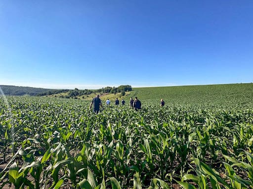 A team of agronomists inspects crops