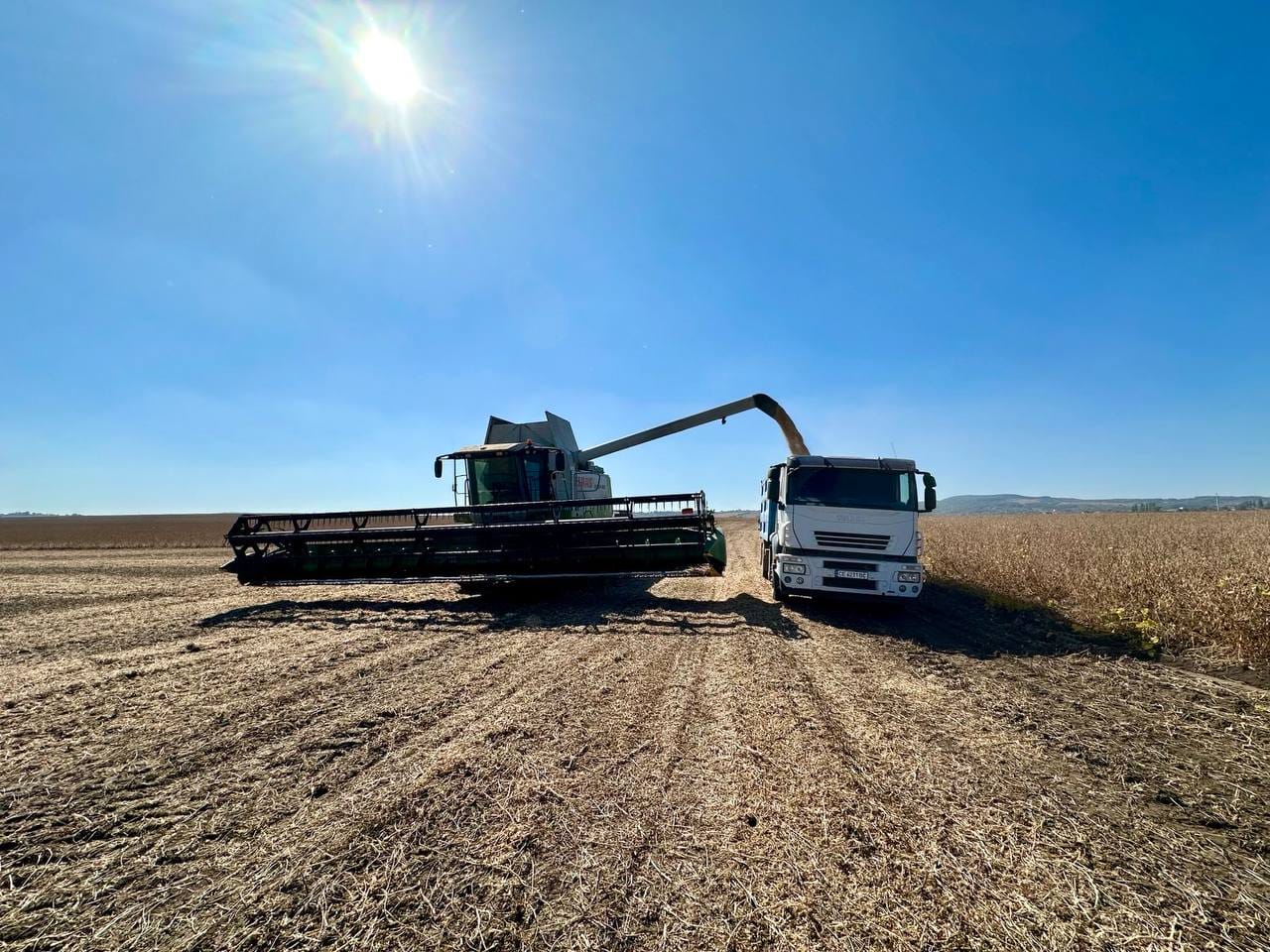 Soybean harvest