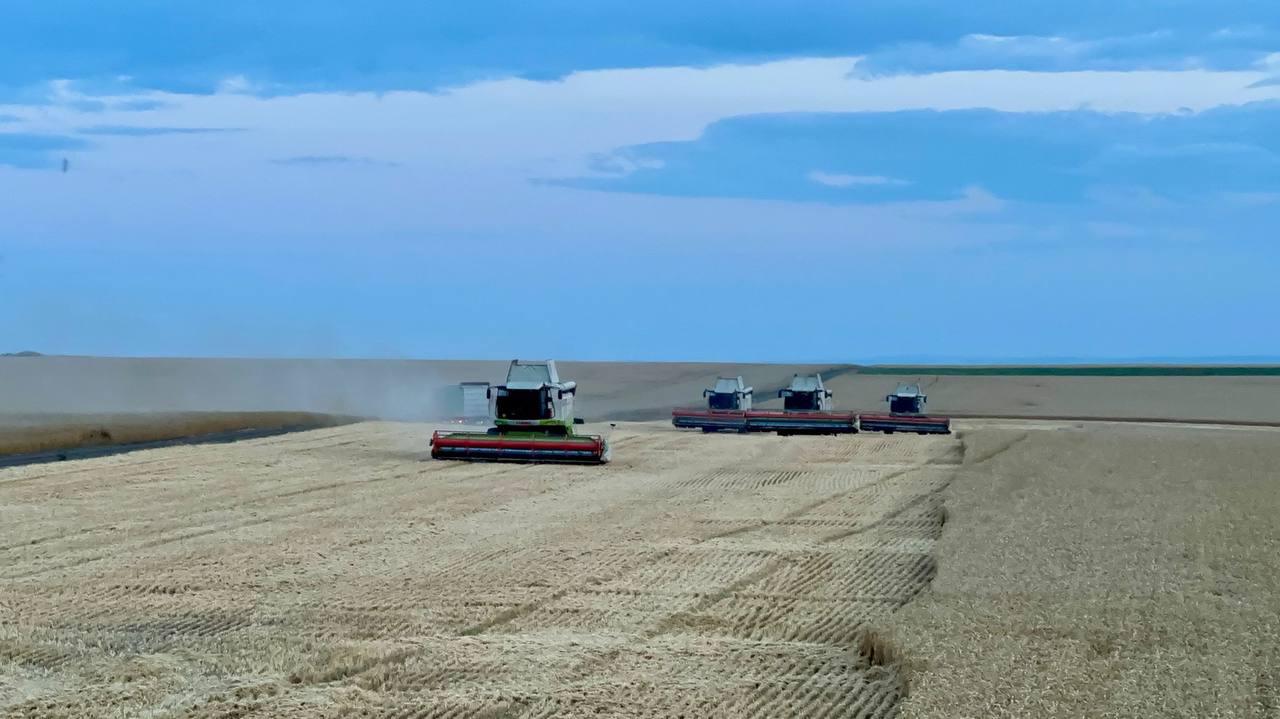 Harvesting crops in the fields of the Kamiana Community