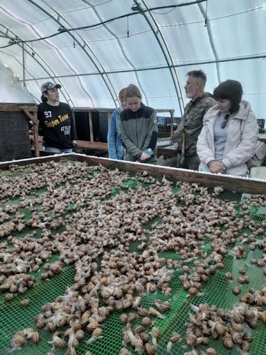 Enterprises of the community