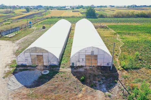 Modern greenhouse infrastructure using energy-efficient technologies