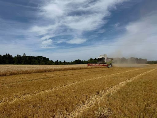 Fertile Lands of the Community