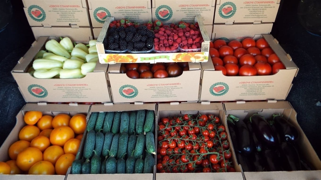 Harvest of the “Ovochi Stanychnykiv” cooperative ready for sale
