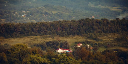 Community Landscapes