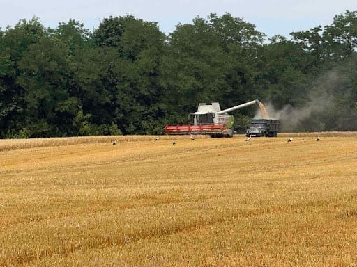 Harvesting in the Community