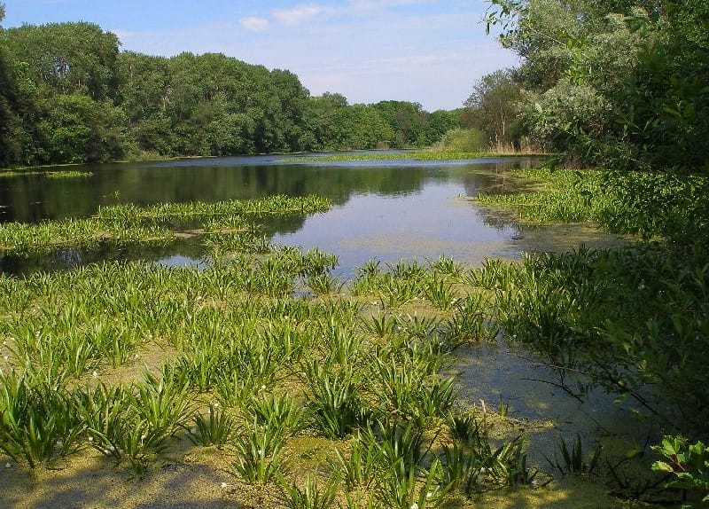Luhansk Nature Reserve