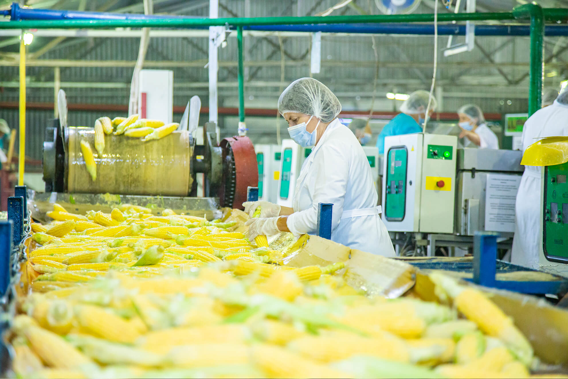 Kaniv Cannery ‘Veres’ (official website