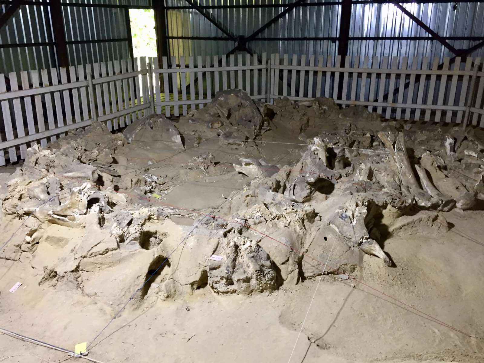 The Mezhyrich site of mammoth hunters (by IIllia Trufanov)